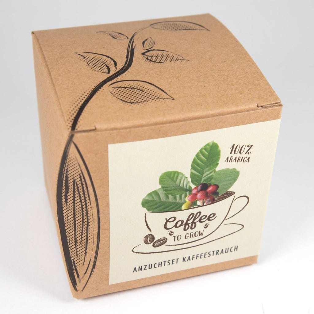 Coffee To Grow Kaffeestrauch Anzuchtset Pflanzset Geschenk