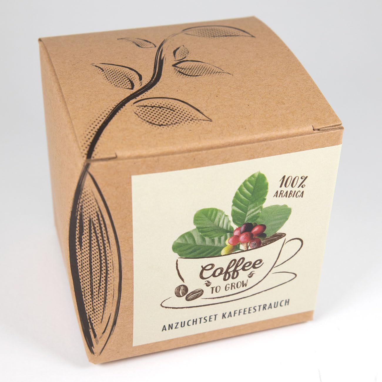 Coffee To Grow Kaffeestrauch Anzuchtset Pflanzset Geschenk