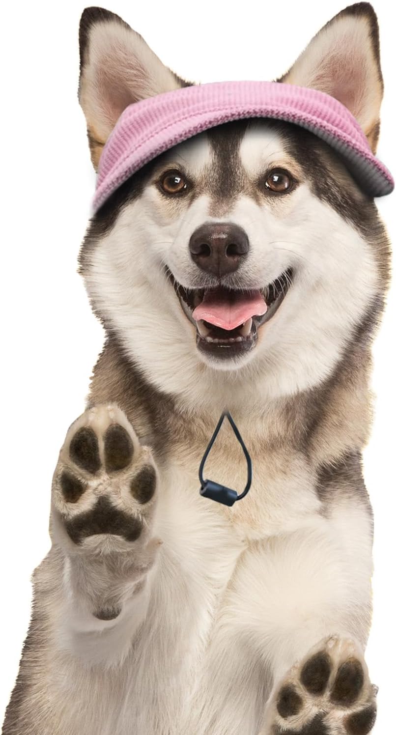 Hunde Baseballmuetze verstellbar mit Ohrloechern S-XL Hundecap Sonnenschutz