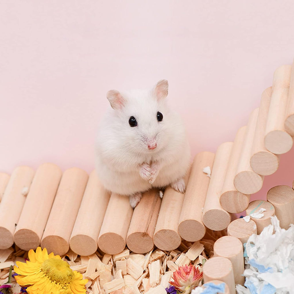 Hamster Kletterleiter Holz Brücke für Käfig Papagei Chinchilla Zubehör