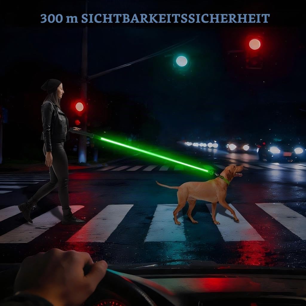 LED Hundeleine 1,2 m USB-C aufladbar 7 Modi reflektierend leuchtend