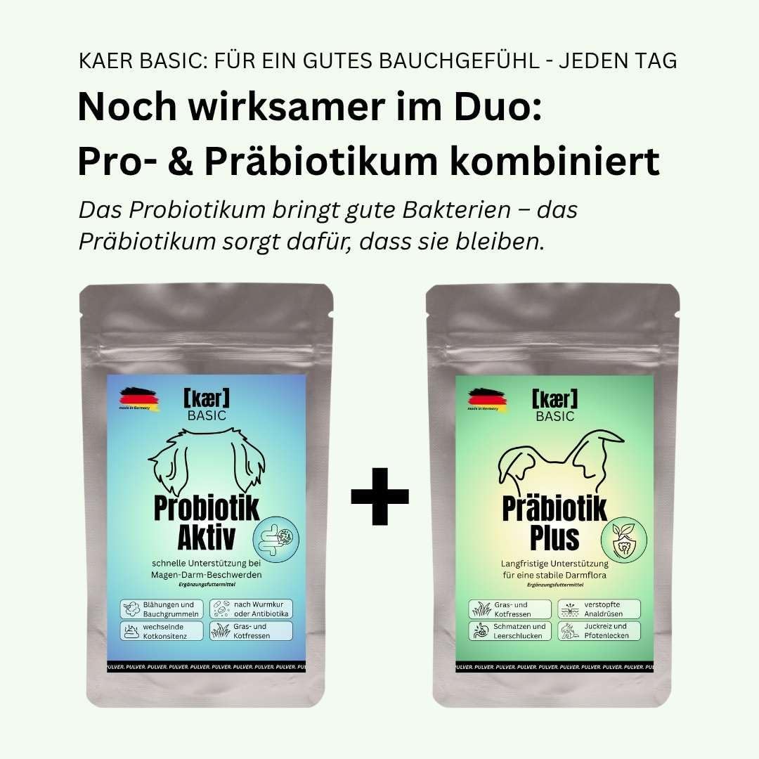 Praebiotik Pulver fuer Hunde zur Darmflorastaerkung bei Analdruesen Juckreiz
