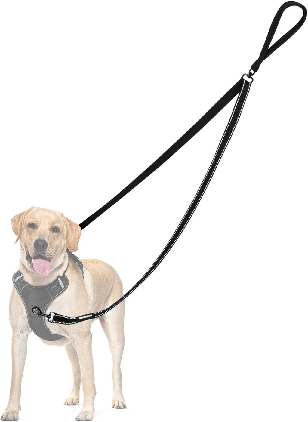 PetBonus Hundeleine Anti-Zieh doppelt reflektierend Schwarz Groesse Gross/Mittel