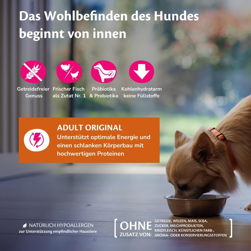 Wellness CORE Ocean Hundefutter Lachs & Thunfisch getreidefrei