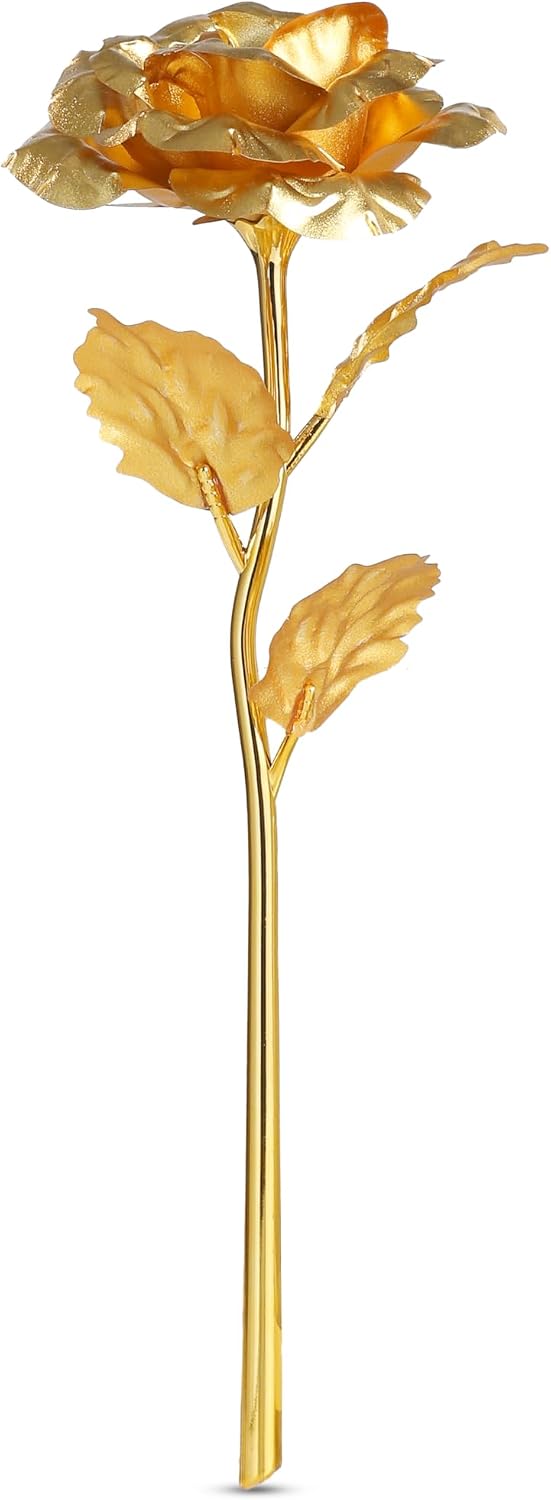 Ewige Gold Rose in Geschenkbox Valentinstag Geschenk fuer Freundin Ehefrau