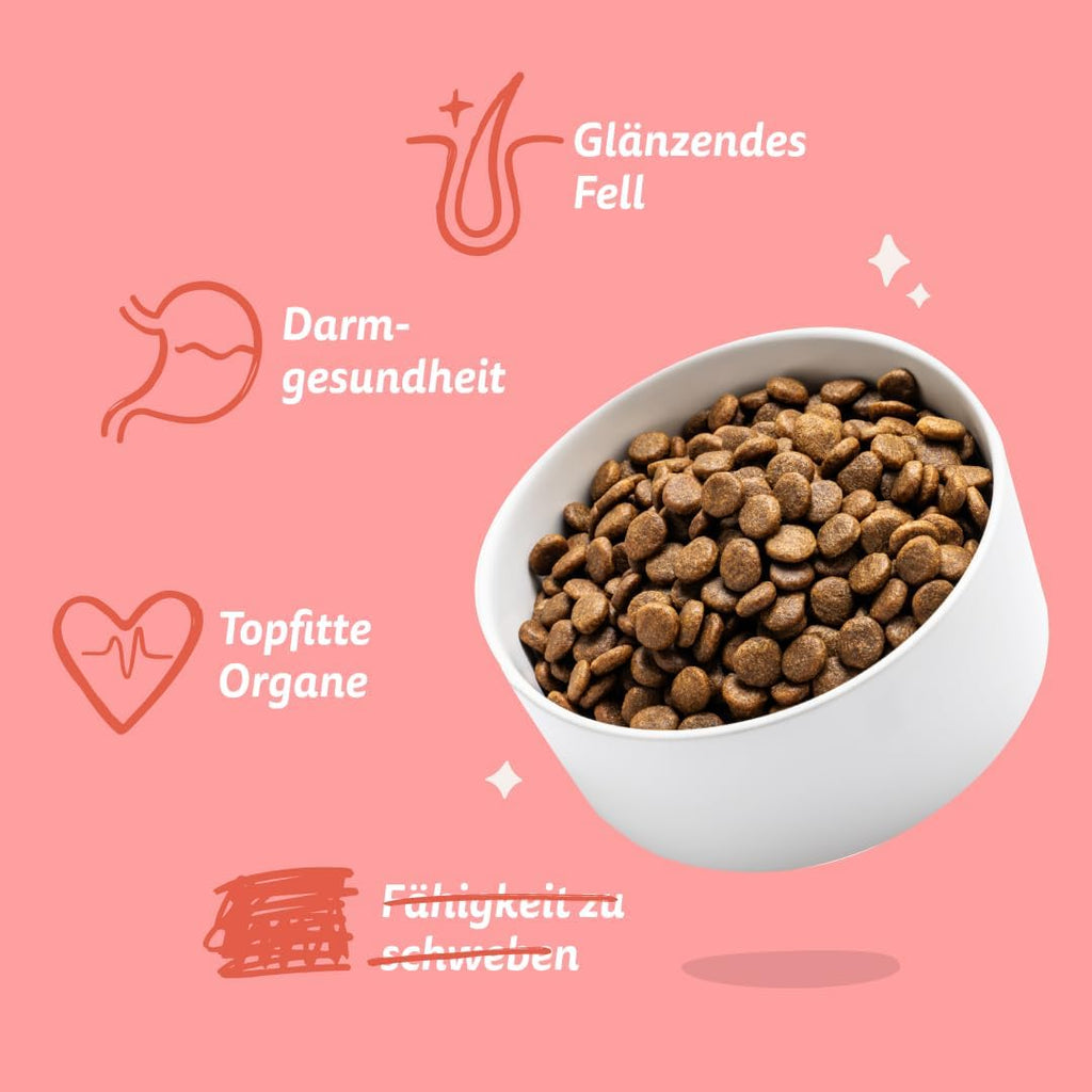 Hundefutter Trockenfutter verschiedene Sorten Getreidefrei