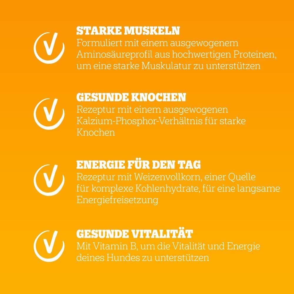 Pedigree Adult Hunde Trockenfutter fuer kleine ausgewachsene Hunde (<) mit R