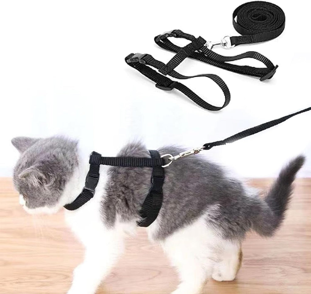 Katzengeschirr verstellbar mit 120 cm Leine ausbruchsicher für Katzen und Kaninc
