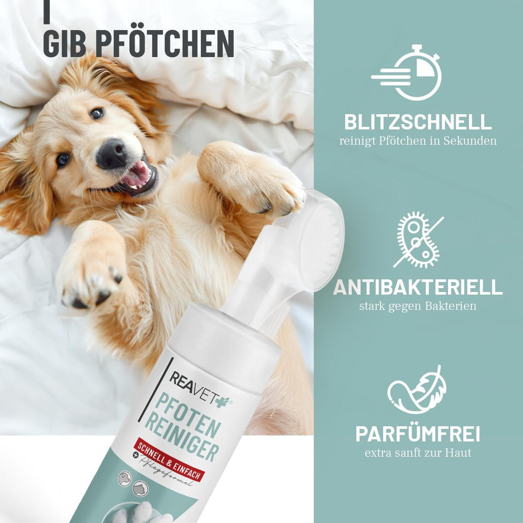 ReaVET Pfotenreiniger Pfotenschaum Hamamelis Gurke Hund Pfotenpflege
