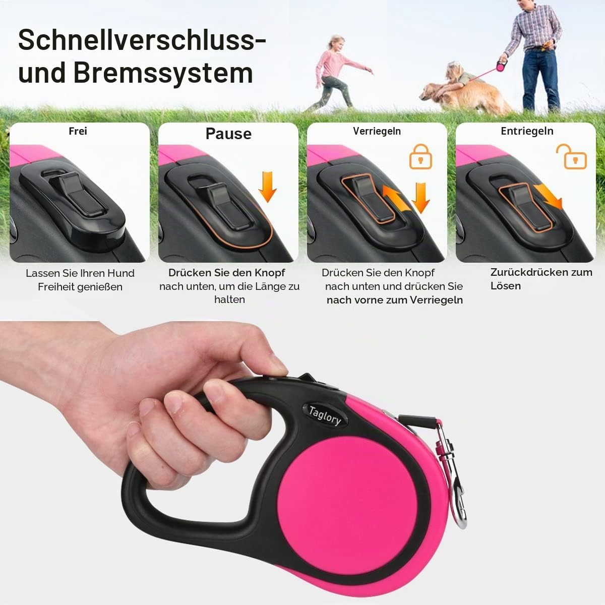Taglory ausziehbare Hundeleine 5 m fuer kleine und mittelgrosse Hunde