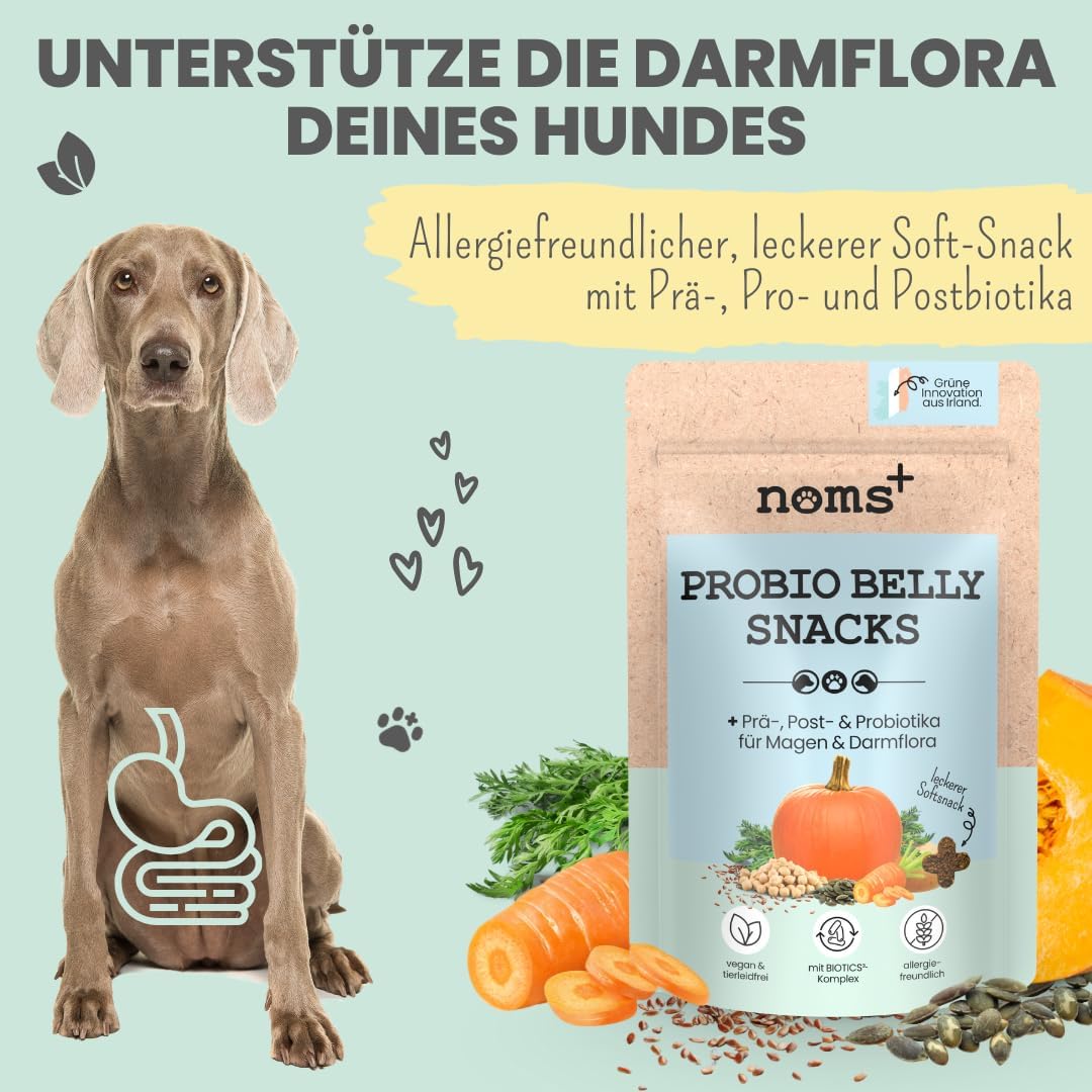 noms+ Probio Belly Snacks Hund XXL Beutel Probiotika Darmaufbau Allergiker