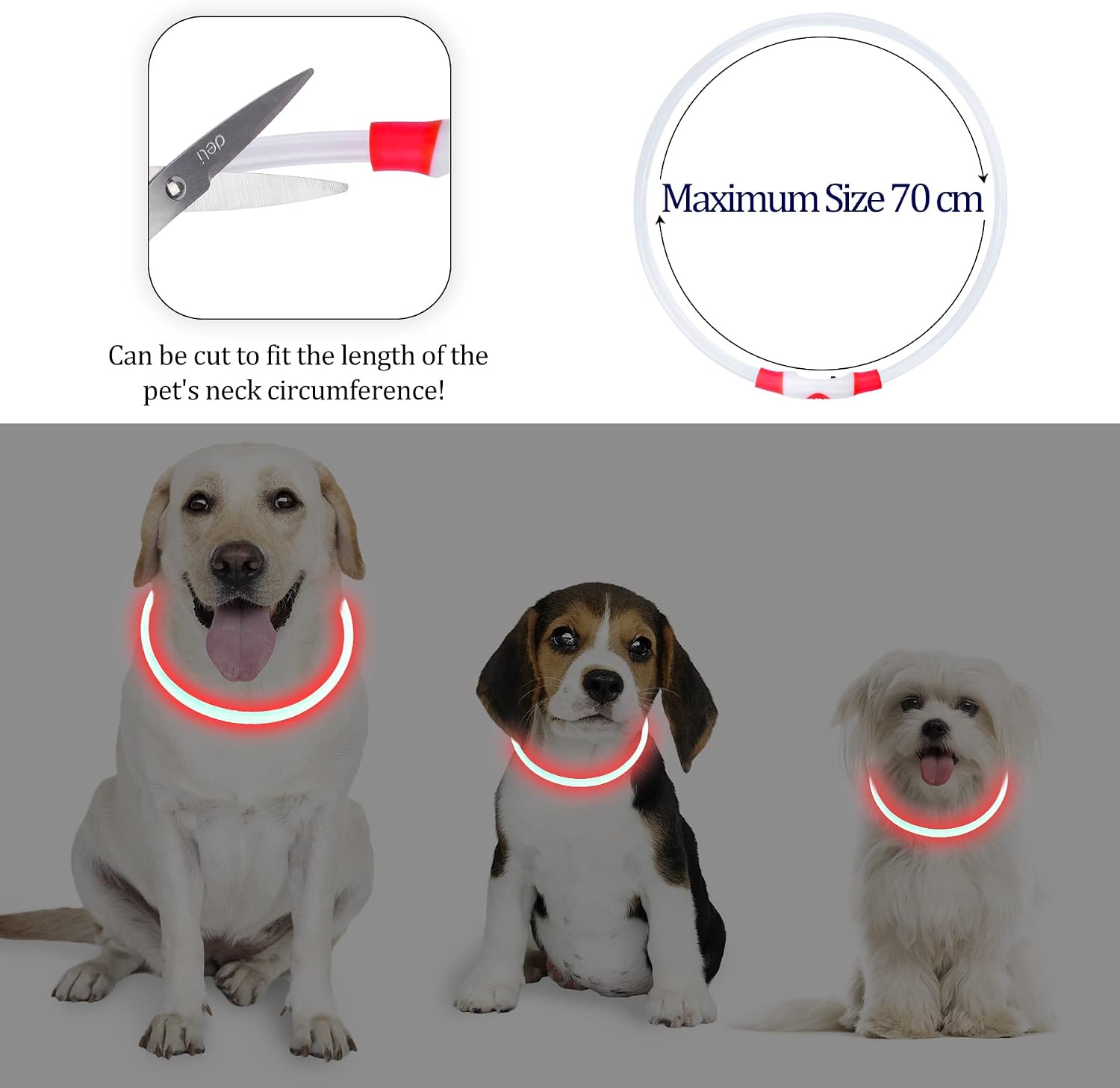 Coolzon LED Leuchthalsband Hundehalsband aufladbar wasserdicht 3 Modi Gruen