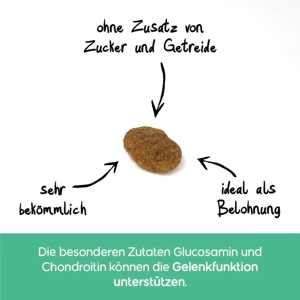 NutriQM Hundefutter Adult Nass mit Pute & Huhn 2 x 800g + Gelenk Snacks 400g