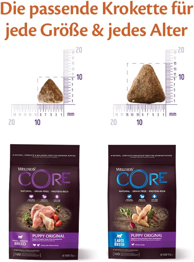Wellness CORE Hundefutter Nass 6x400g Huhn & Truthahn Pastete