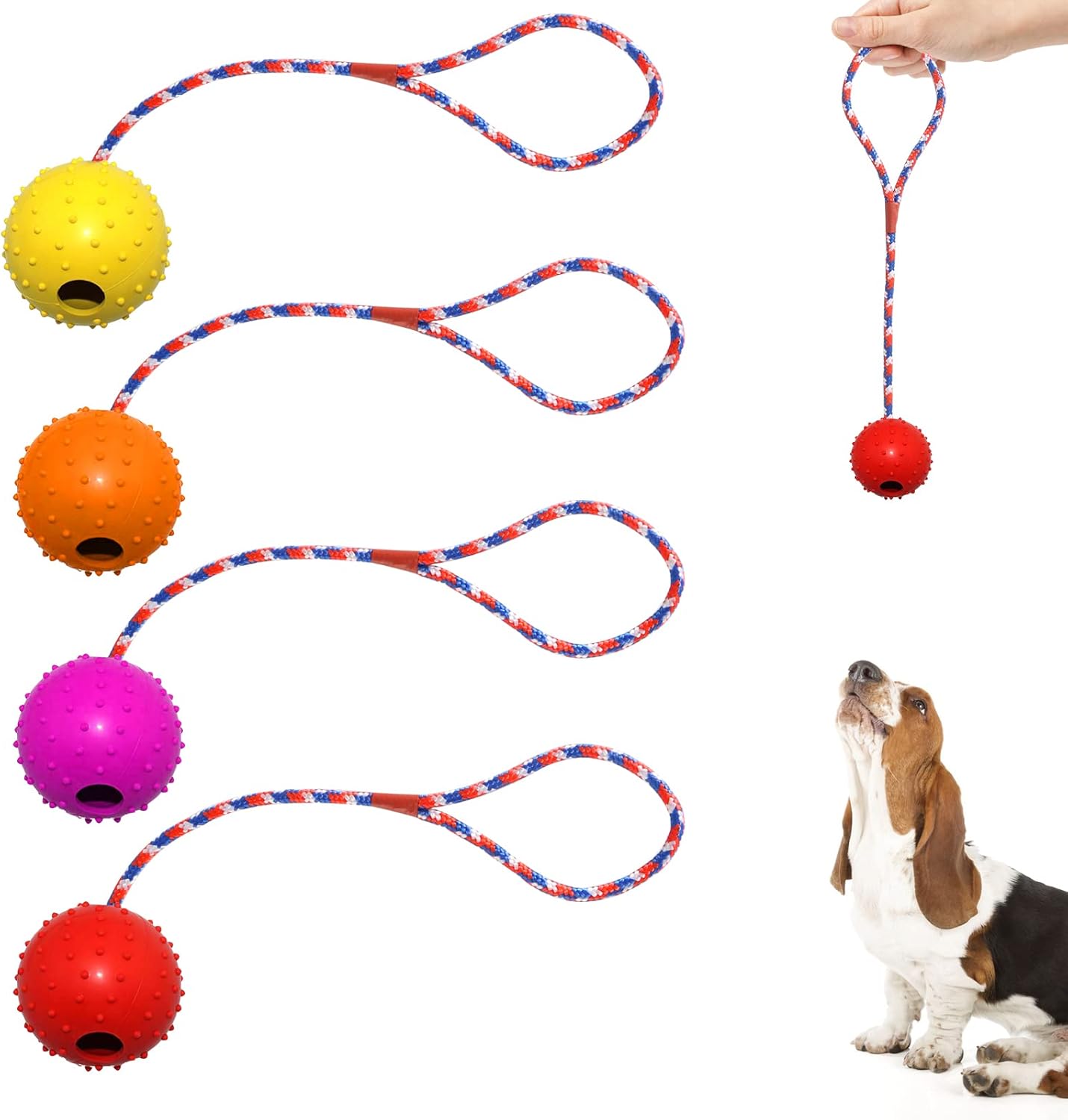 4x Hundeball mit Seil aus Naturkautschuk – robustes Hundespielzeug