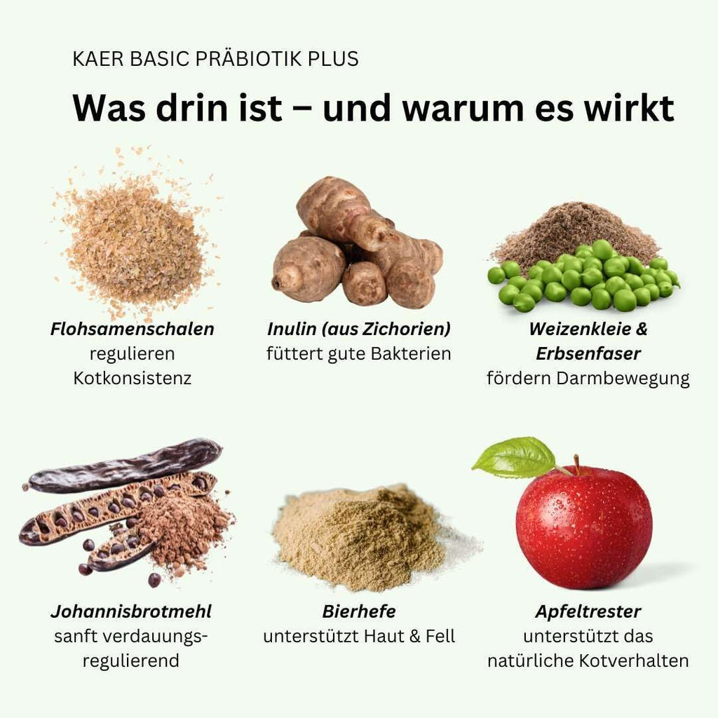Praebiotik Pulver fuer Hunde zur Darmflorastaerkung bei Analdruesen Juckreiz