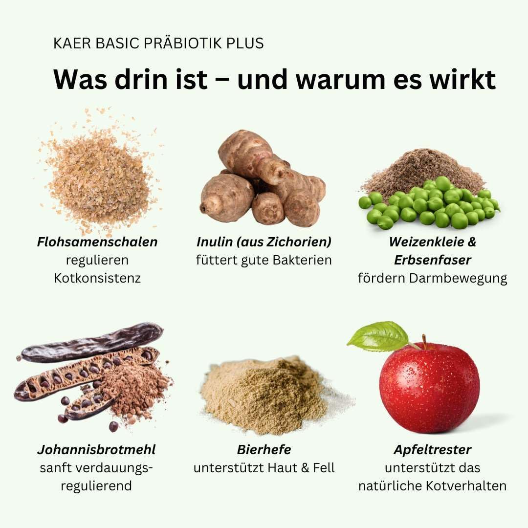 Praebiotik Pulver fuer Hunde zur Darmflorastaerkung bei Analdruesen Juckreiz