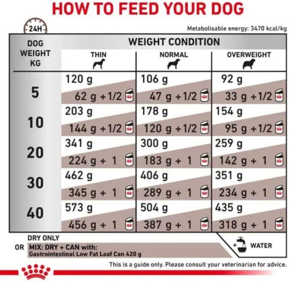 Royal Canin Veterinary Gastrointestinal Low Fat 6 kg Trockenfutter Hund