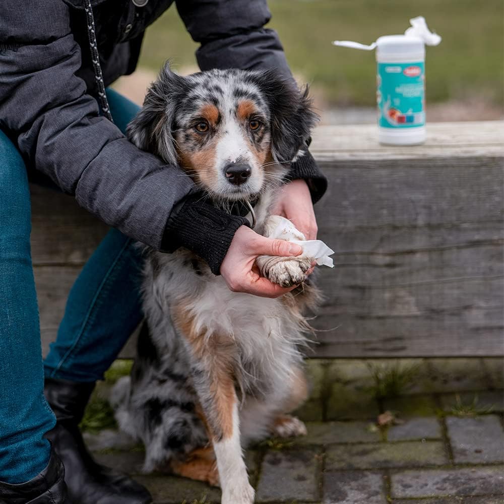 Nobby Reinigungstuecher in Spenderdose 50 Stueck Universal fuer Tiere
