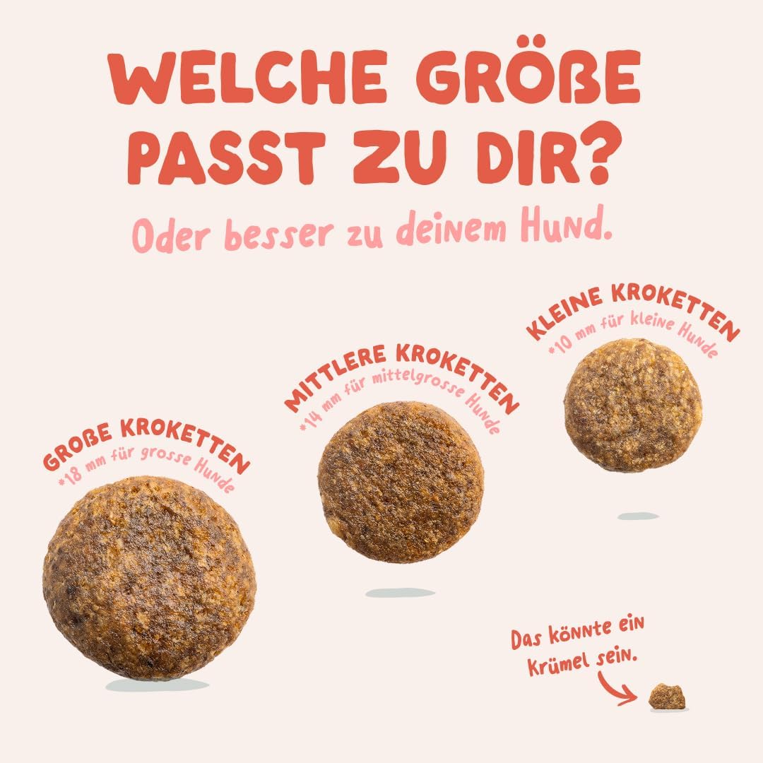 Hundefutter Trockenfutter verschiedene Sorten Getreidefrei