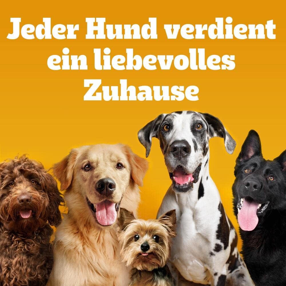 Pedigree Multipack verschiedene Sorten - 24 Rodeo Duos Huhn & Bacon, 4 Jum