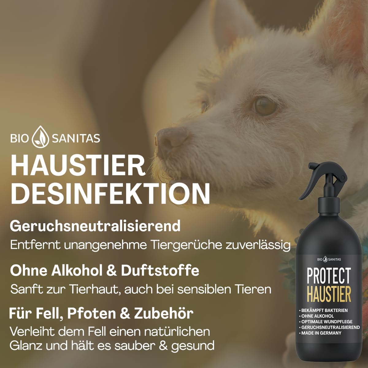 PROTECT Haustier Desinfektionsspray 500 ml alkoholfrei für Hunde und Katzen