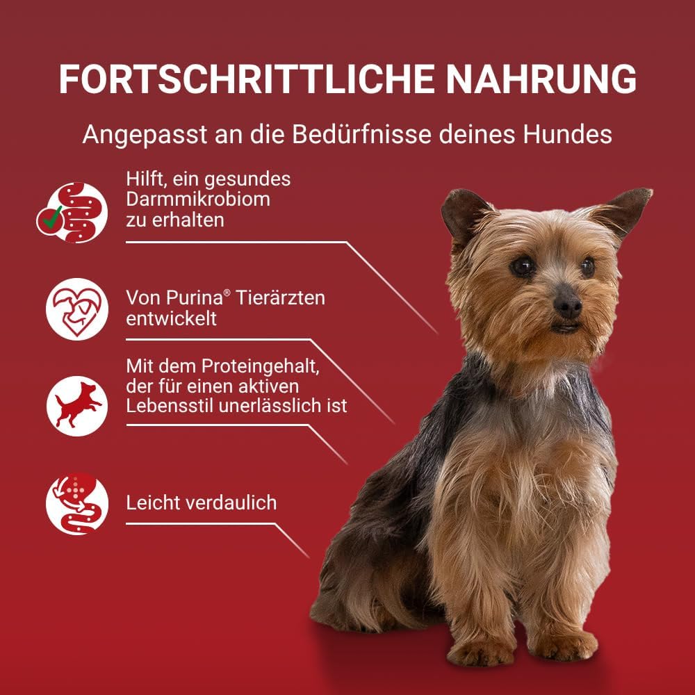 Purina ONE Mini/Small nass Hundefutter (10x85g) verschiedene Sorten