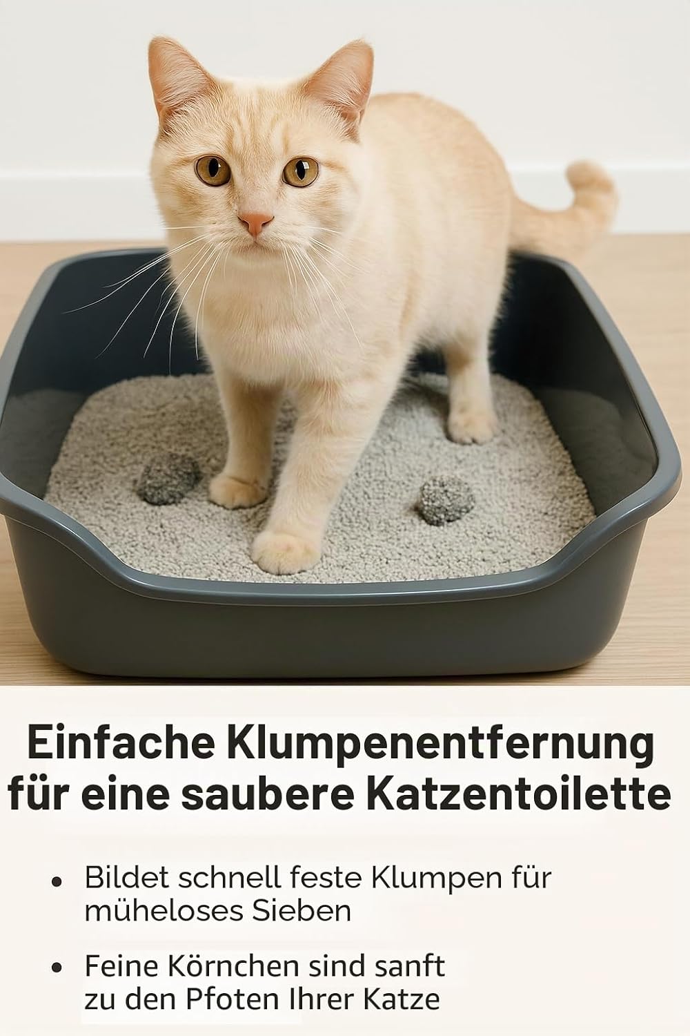 Katzenstreu Klumpstreu superfein mit Babypuderduft verschiedene Sorten