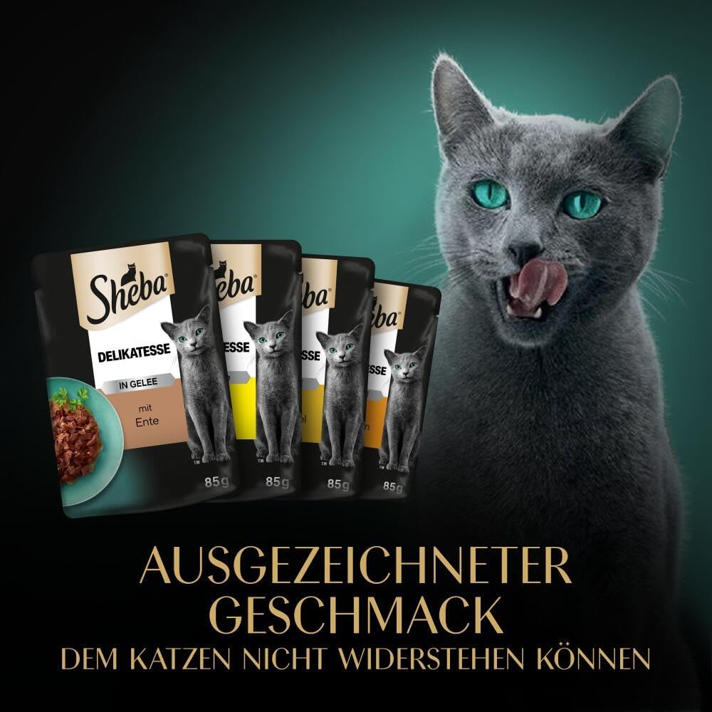Sheba Katzenfutter nass 72x85g Gefluegel in Gelee