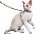 Supet Katzengeschirr verstellbar 33cm-53,3cm ausbruchsicher Weste mit Leine
