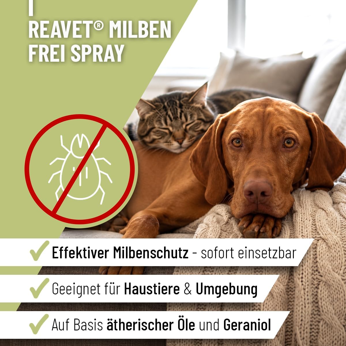 ReaVET Anti Milben-Spray 500 ml für Hunde Katzen Pferde gegen Milben Juckreiz