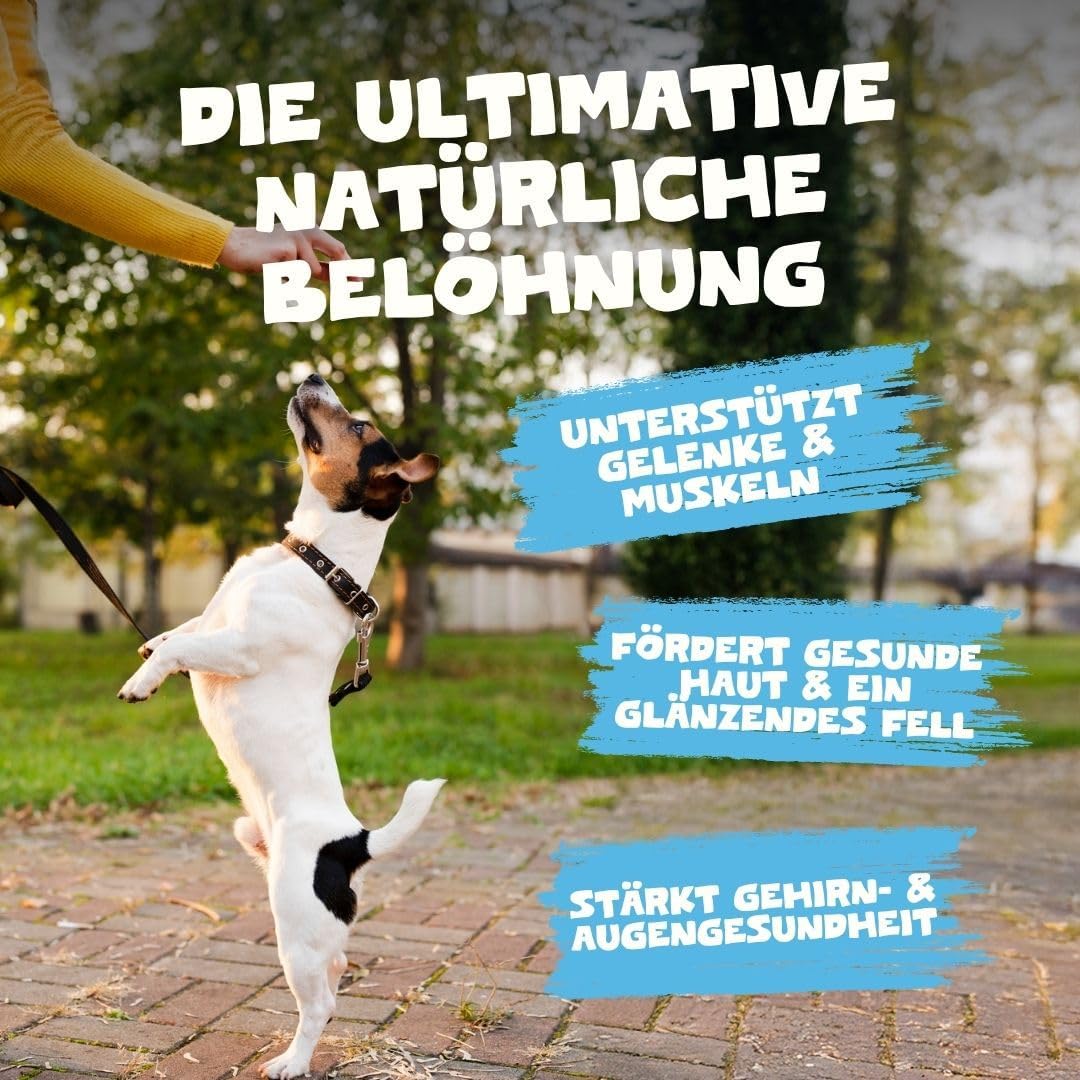 Pets Purest Sprotten 100 g getreidefreier luftgetrockneter Snack für Hund Katze