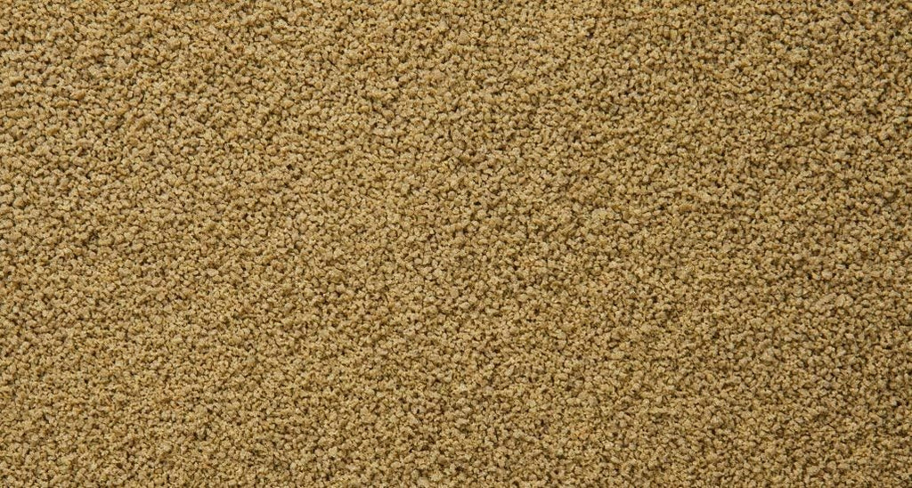sera Immune Probiotic Granules XS Fischfutter bis 5 cm