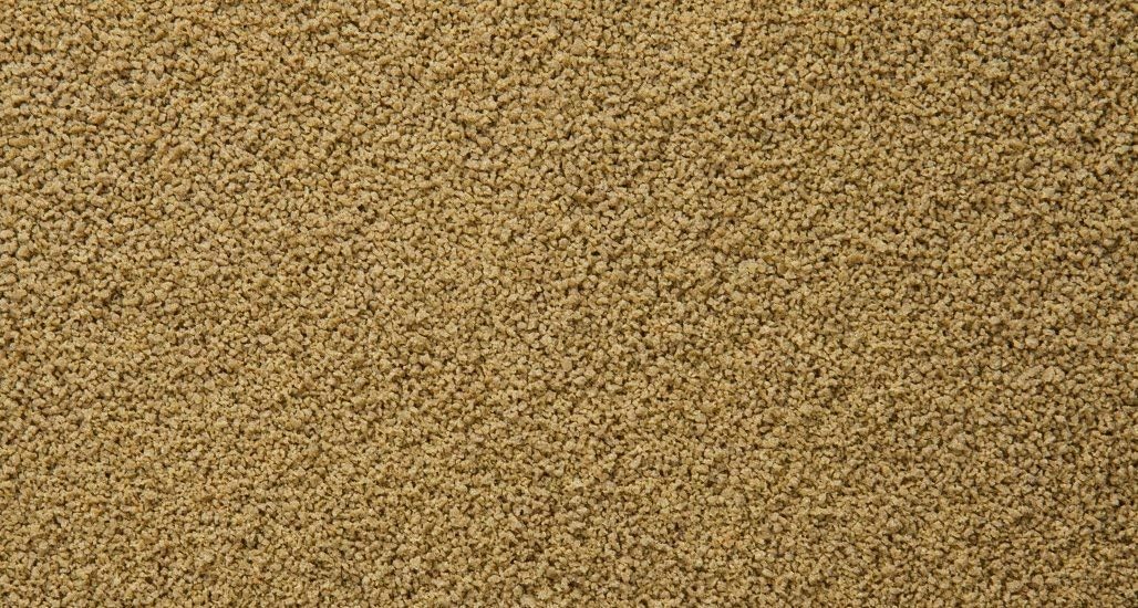 sera Immune Probiotic Granules XS Fischfutter bis 5 cm