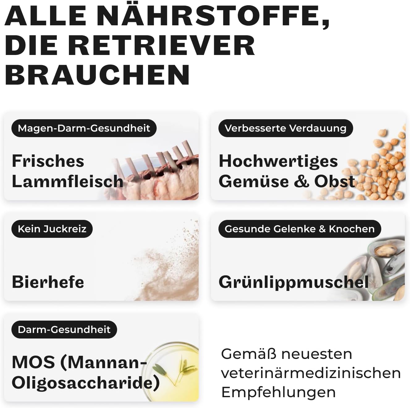 HEY HOLY Nassfutter Minis 6x190 g getreidefrei Forelle verschiedene Sorten