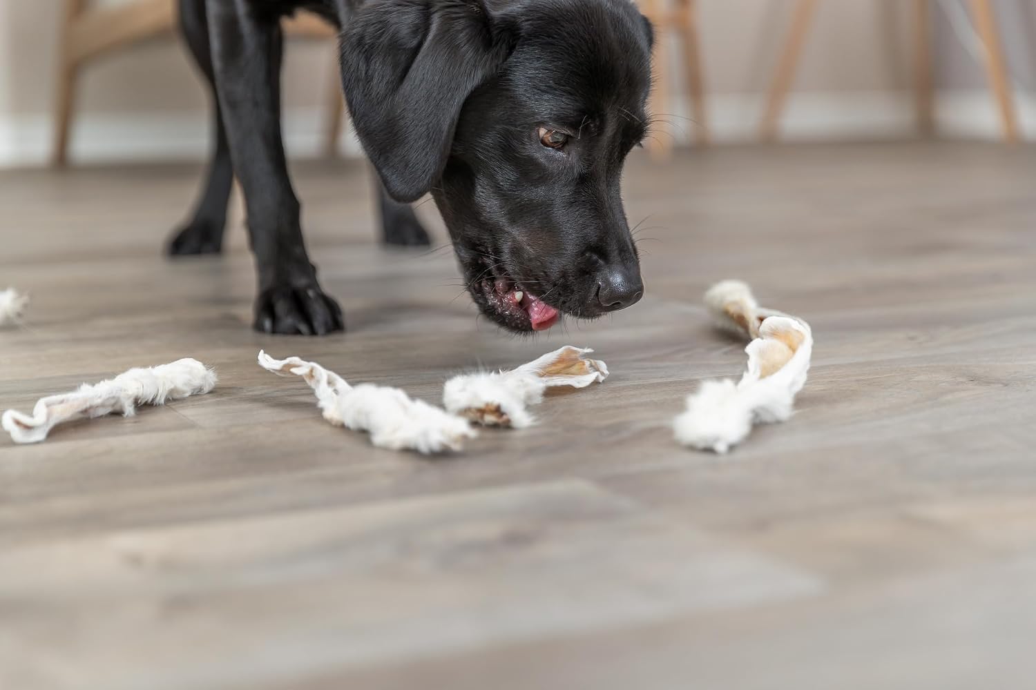 Trixie Kaninchenohren mit Fell Hundesnack Kauartikel 500 g
