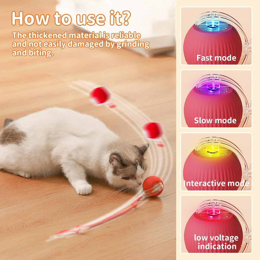 Interaktive Haustier Spielkugeln 2er Set Katzen Hunde USB Aufladbar