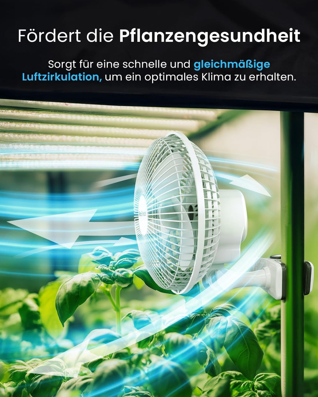 Pro Breeze Mini Clipventilator 20 cm, 2 Stufen, leise Tischventilator fuer Schrei