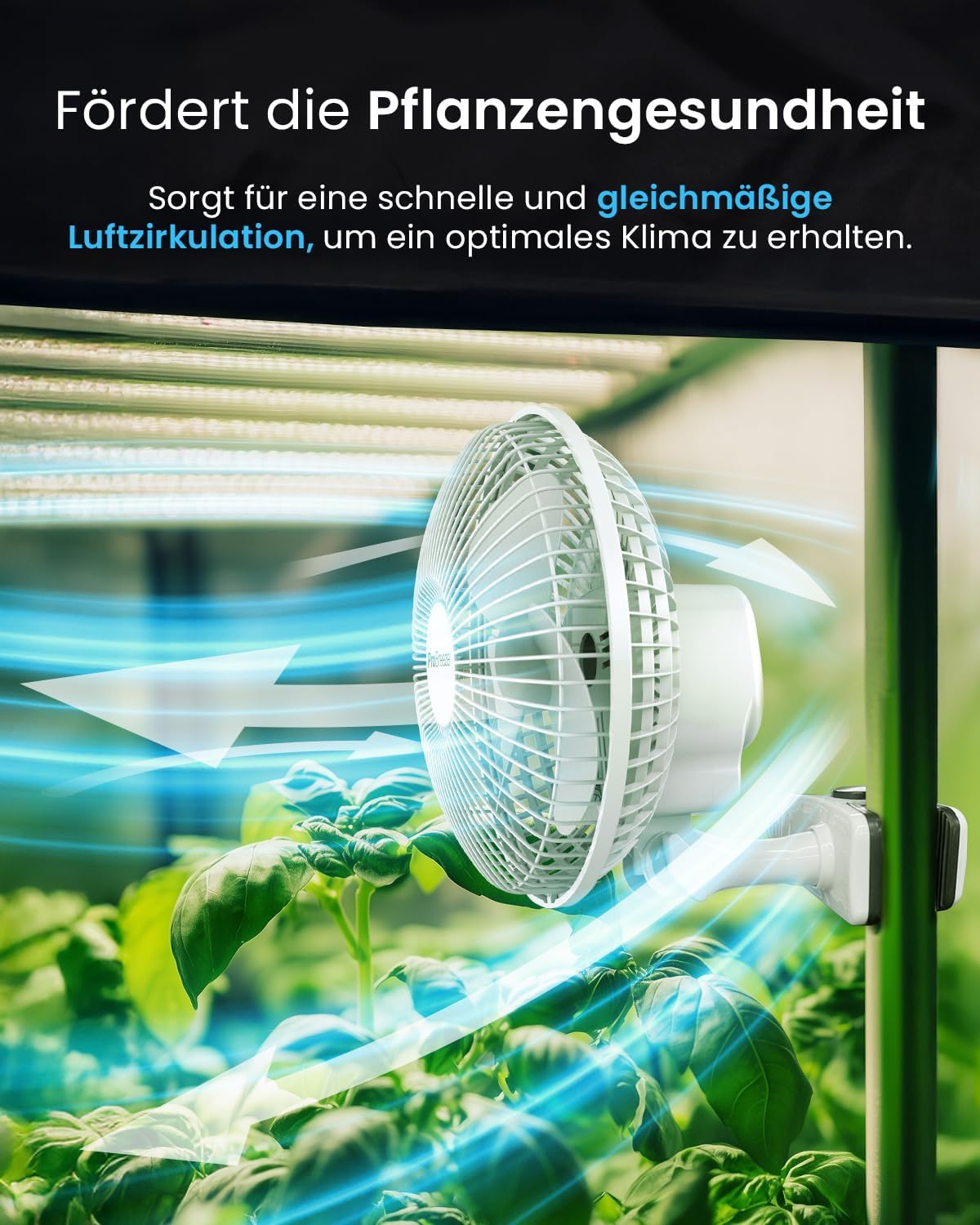 Pro Breeze Mini Clipventilator 20 cm, 2 Stufen, leise Tischventilator fuer Schrei