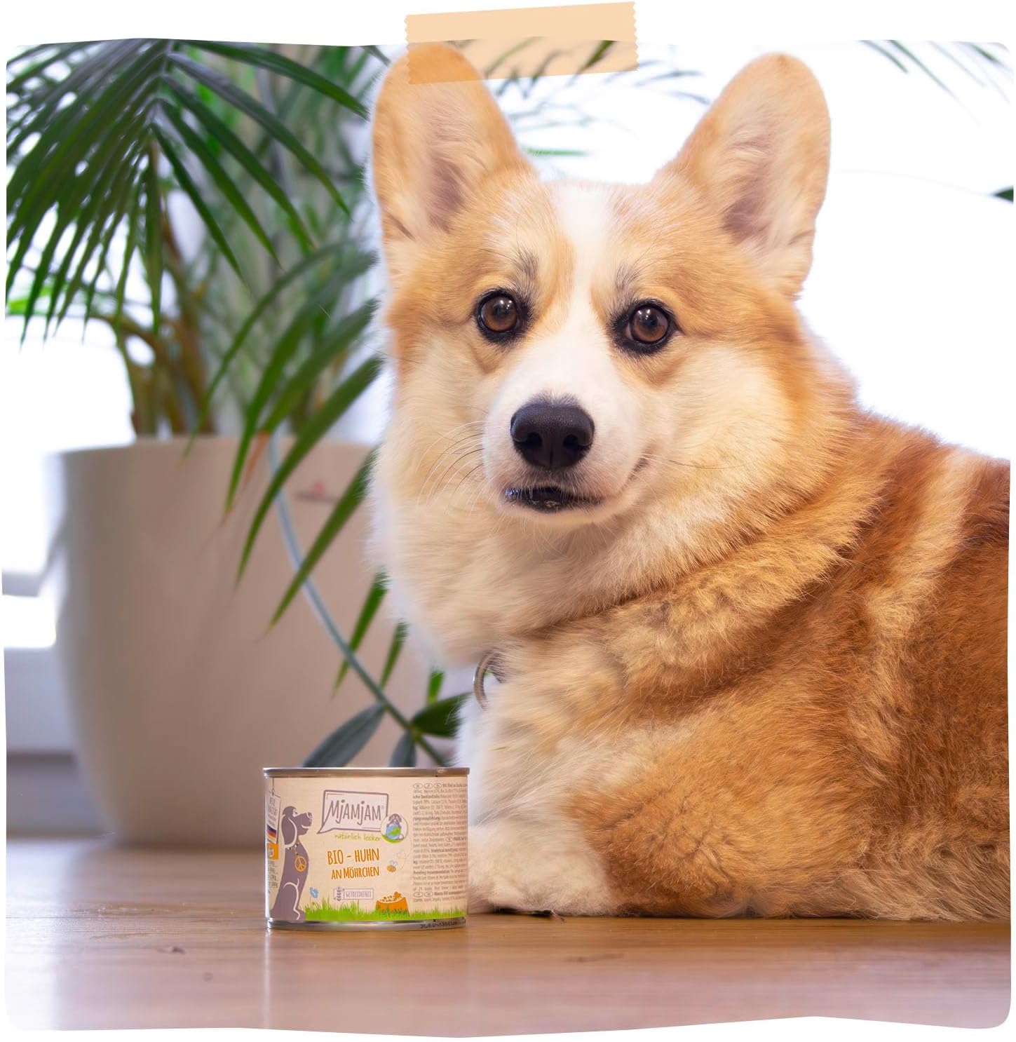 MjAMjAM Hundefutter Nassfutter Bio Huhn mit Moehrchen 6x400g getreidefrei -2