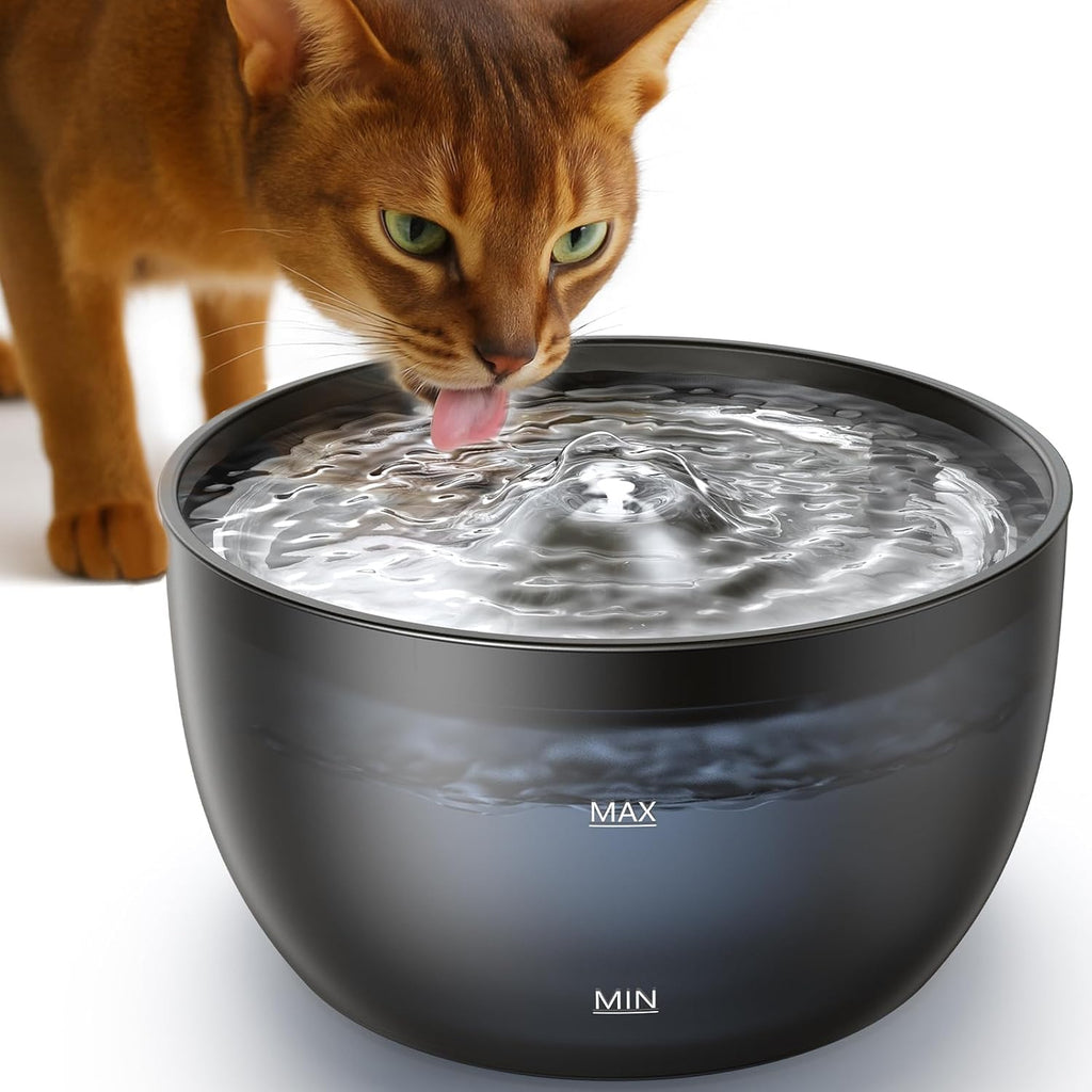 FEELNEEDY Katzen Trinkbrunnen Leise mit Aktivkohlefilter Edelstahl-Schale Sch