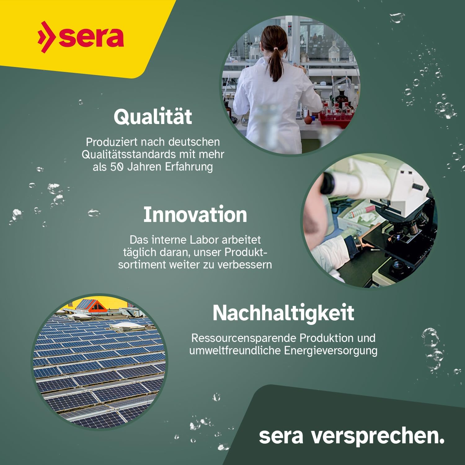 sera Koi Professional Summer Koifutter Ringkernpellets 17°C+
