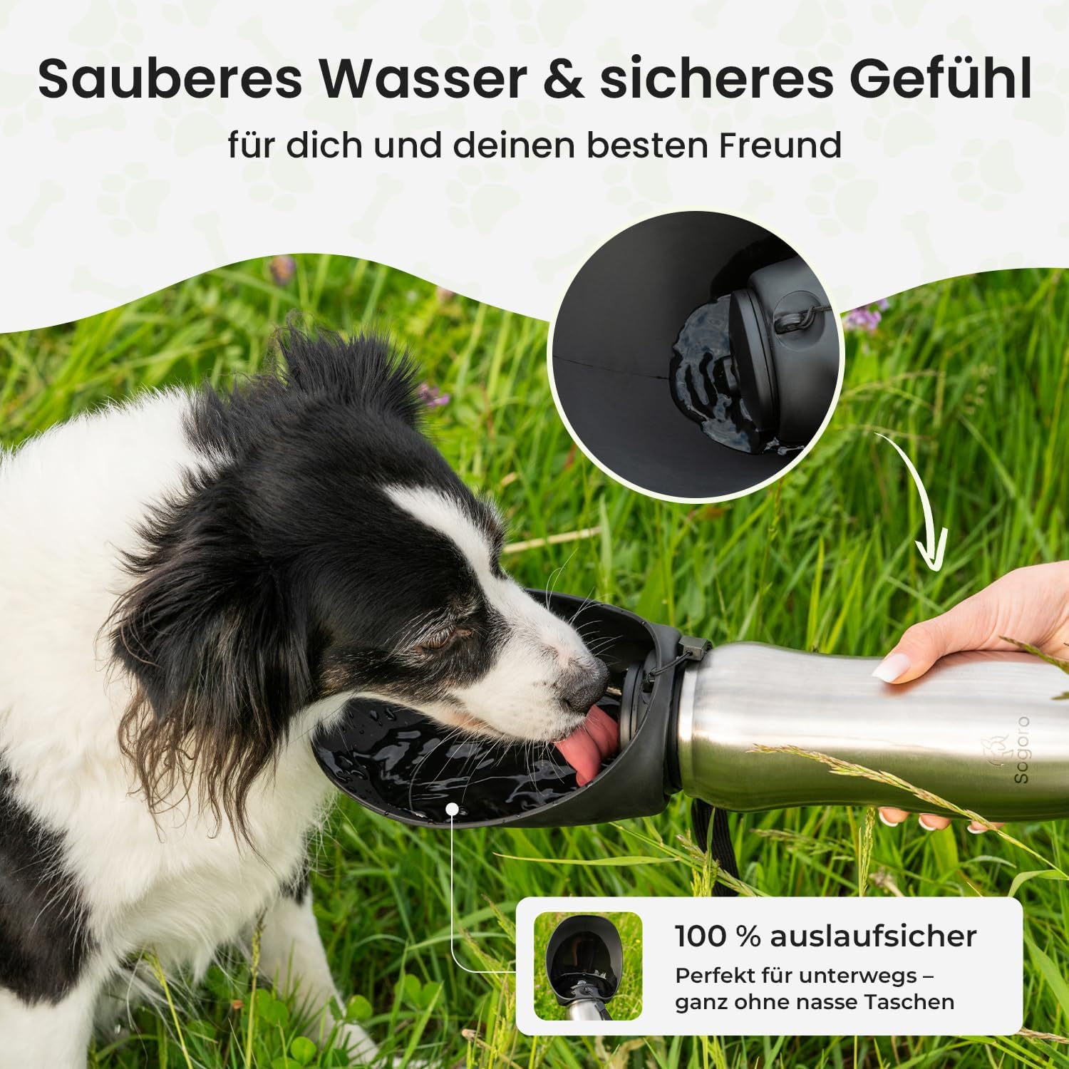 Hundetrinkflasche 700 ml Edelstahl auslaufsicher tragbar fuer unterwegs