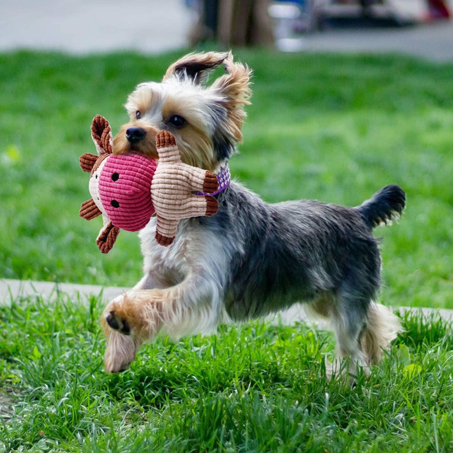 Hundespielzeug Set 7 Teile Kauspielzeug Quietschspielzeug Kuh für Welpen