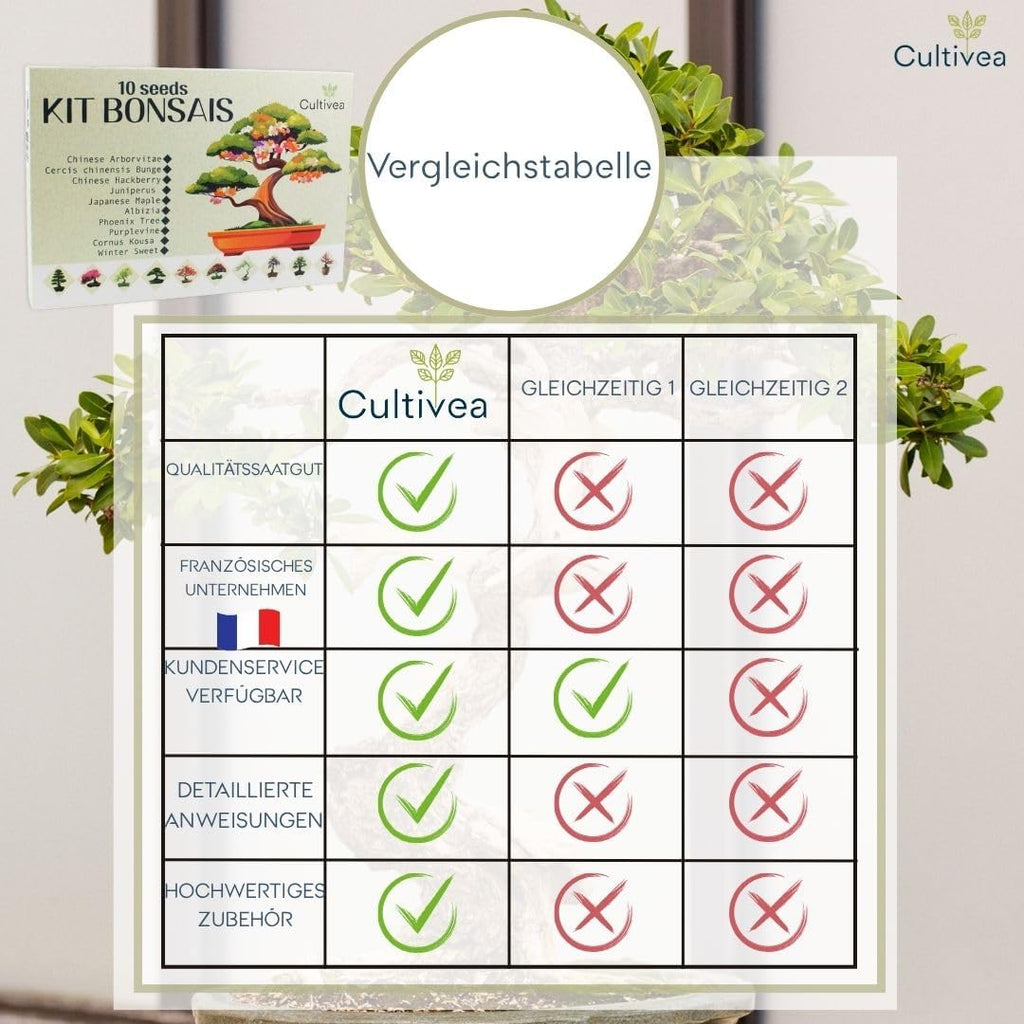 Bonsai Anzuchtset mit Samen fuer 10 Baeume - Komplettes Starter Kit