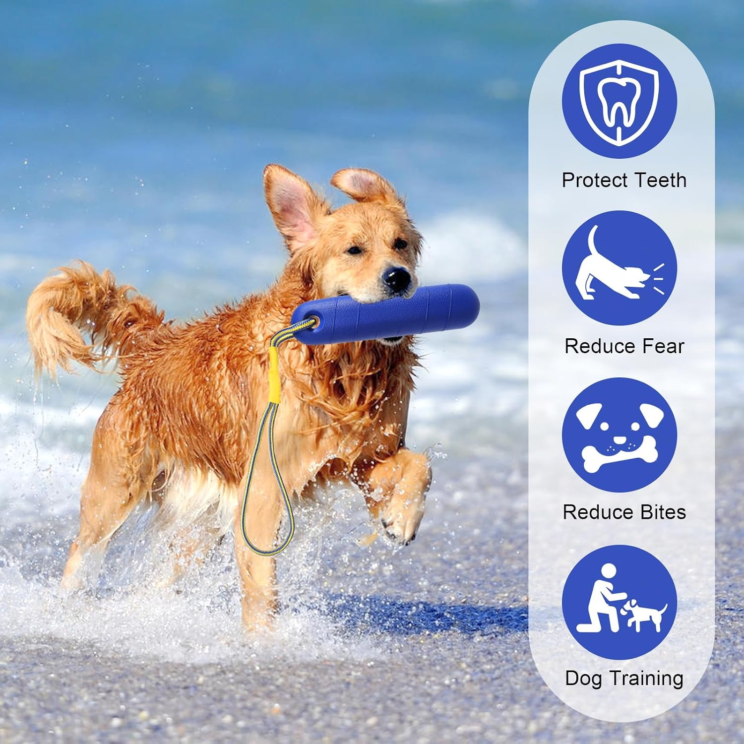 DUTIFUL Hundespielzeug Schwimmspielzeug mit Nylonseil fuer mittelgrosse und grosse