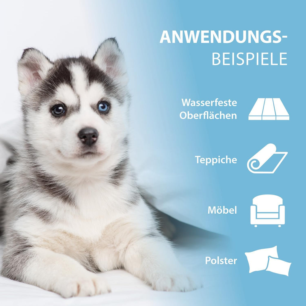 ARKA Enzymreiniger Hundeurin 100 ml Geruchsentferner Fleckenlöser