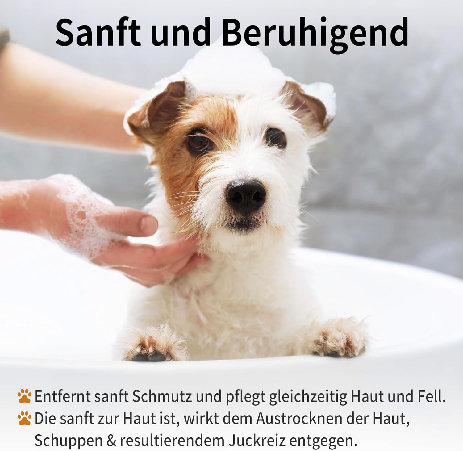 Hundeshampoo Kokosoel pH-neutral hypoallergen rueckfettend fuer Hunde Katzen