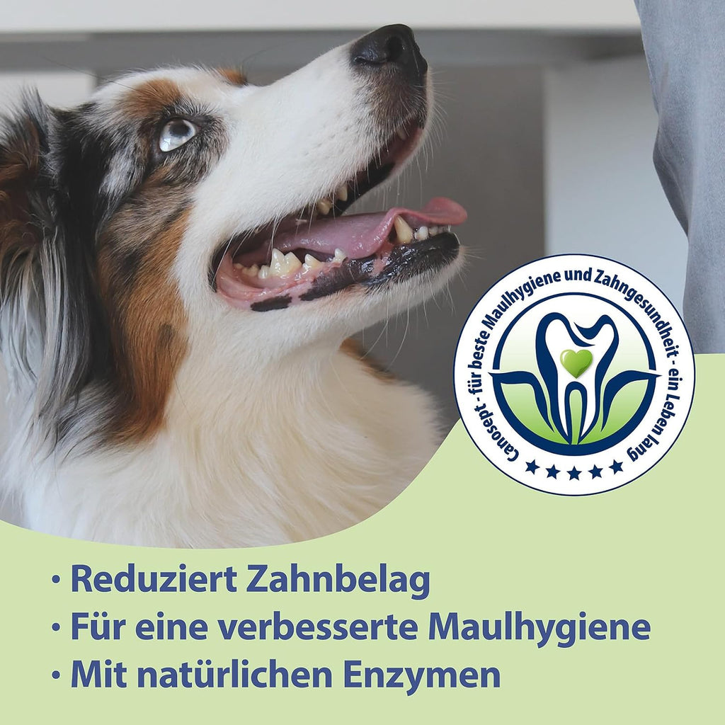 Canosept Zahnpflegespray für Hunde gegen Zahnstein und Mundgeruch