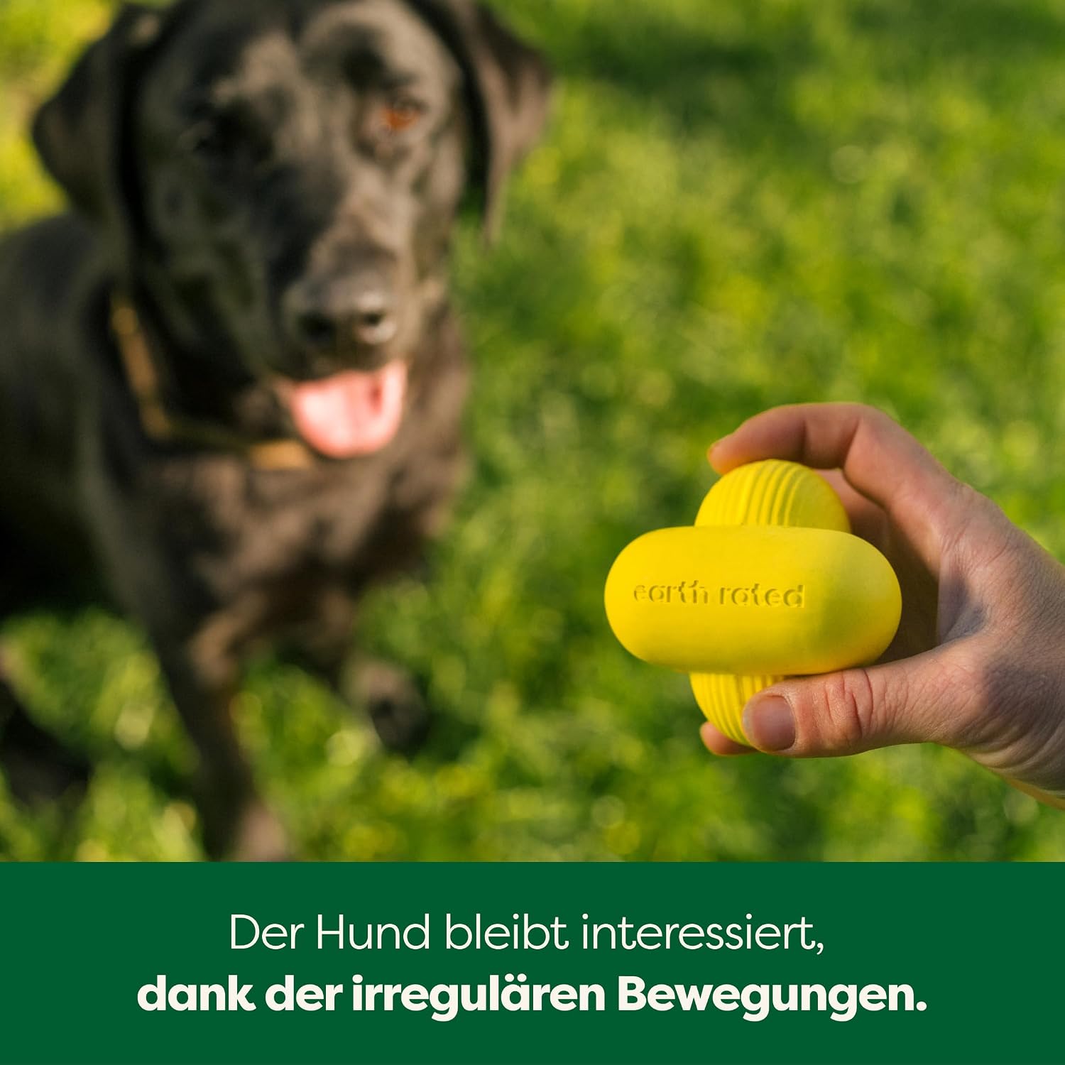 Earth Rated Hundeball S-L - Naturgummi Apportierball klein gelb verschiedene Groe